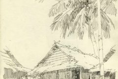 RabbitIsland01-scaled