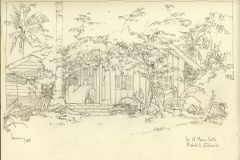 RabbitIsland03-scaled