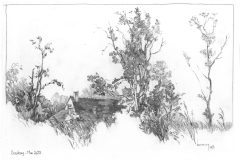 SAULNAY01-scaled
