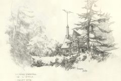 maison_forestiere-scaled