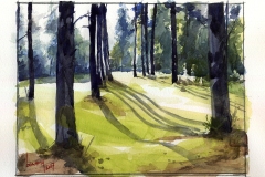study_forest