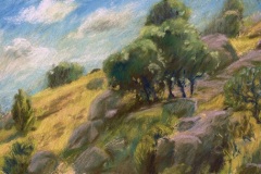 1_ColmenarPastel3