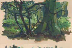 forest-Studies