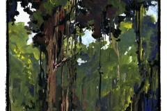 jungle